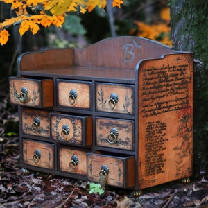 Gothic Home decor Apothecary Cabinet personalized Halloween gift Jewelry Organizer Horror Cabinet Witchcraft Box gift for her Spider Web