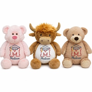 Peluche personalizado de graduación con año y nombre personalizados, oso de peluche de regalo de graduación, regalo para graduados de secundaria y universidad, peluche personalizado