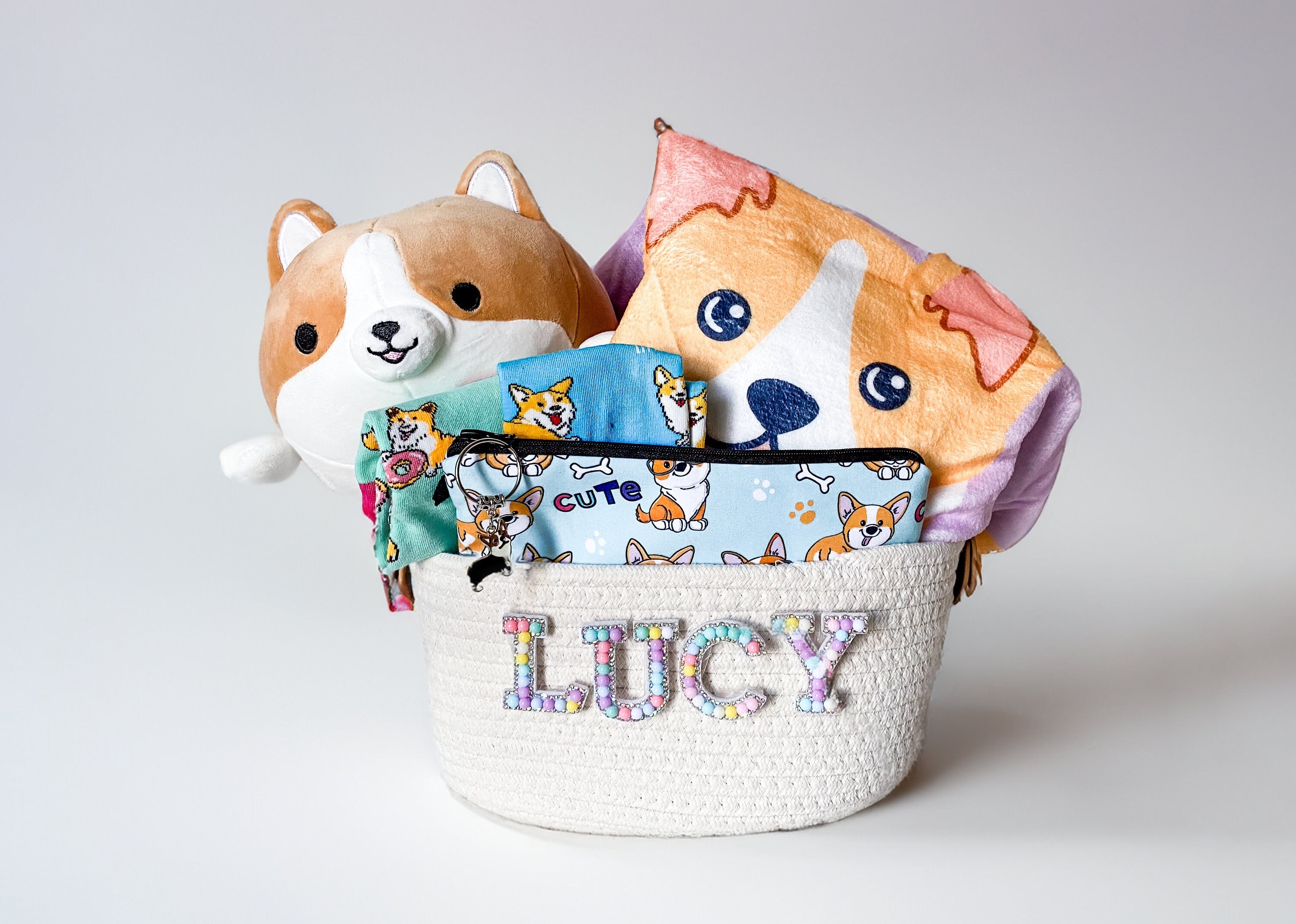 Corgi Lover Gift Basket Dog Lover Teen Gift Basket Birthday