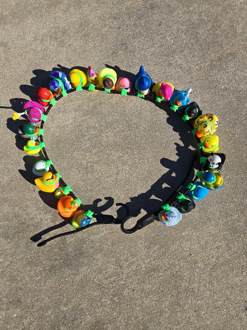 Duck Organizer