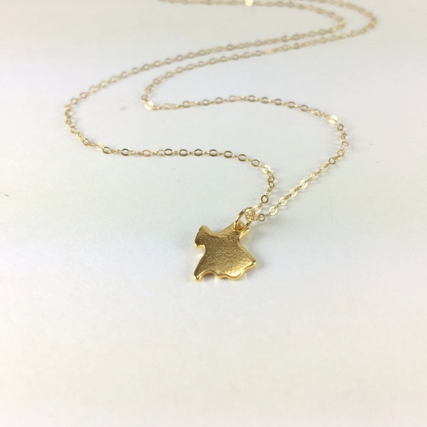 Dainty Gold Texas Necklace Tiny Texas State Charm Necklace Lone Star Jewelry Texas Fan Texan Jewelry 14k Gold Filled and Sterling Silver