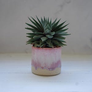 Handmade ceramic plant pot, indoor planter:  pink planter
