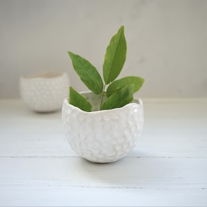 Handmade ceramic small planter, succulent, cactus planter, ceramic pot, white planter, handmade gift, housewarming gift, pottery plant pot