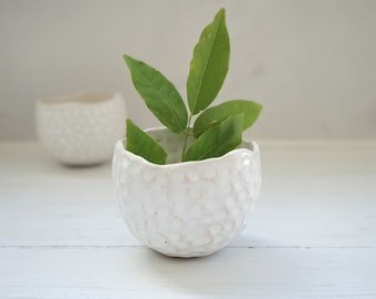 Piccola fioriera in ceramica fatta a mano, succulenta, fioriera di cactus, vaso in ceramica, fioriera bianca, regalo fatto a mano, regalo di inaugurazione della casa, vaso per piante in ceramica