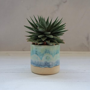 Peut inclure: Une petite plante succulente aux feuilles pointues vert foncé avec des rayures blanches horizontales, plantée dans un pot en céramique cylindrique. Le pot présente une base beige mate et un émail brillant coulant dans des tons bleu et turquoise.