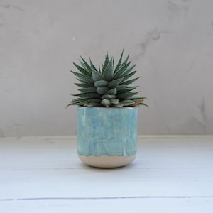Handmade Turquoise Ceramic Plant Pot: Indoor Planter, No Drainage