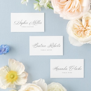 Modern place card Template Printable Wedding seating cards template Place card with meal option table card