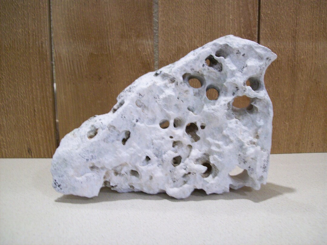 Texas Natural Limestone Holey Rocks Aquarium Terrarium Rock 8 Etsy