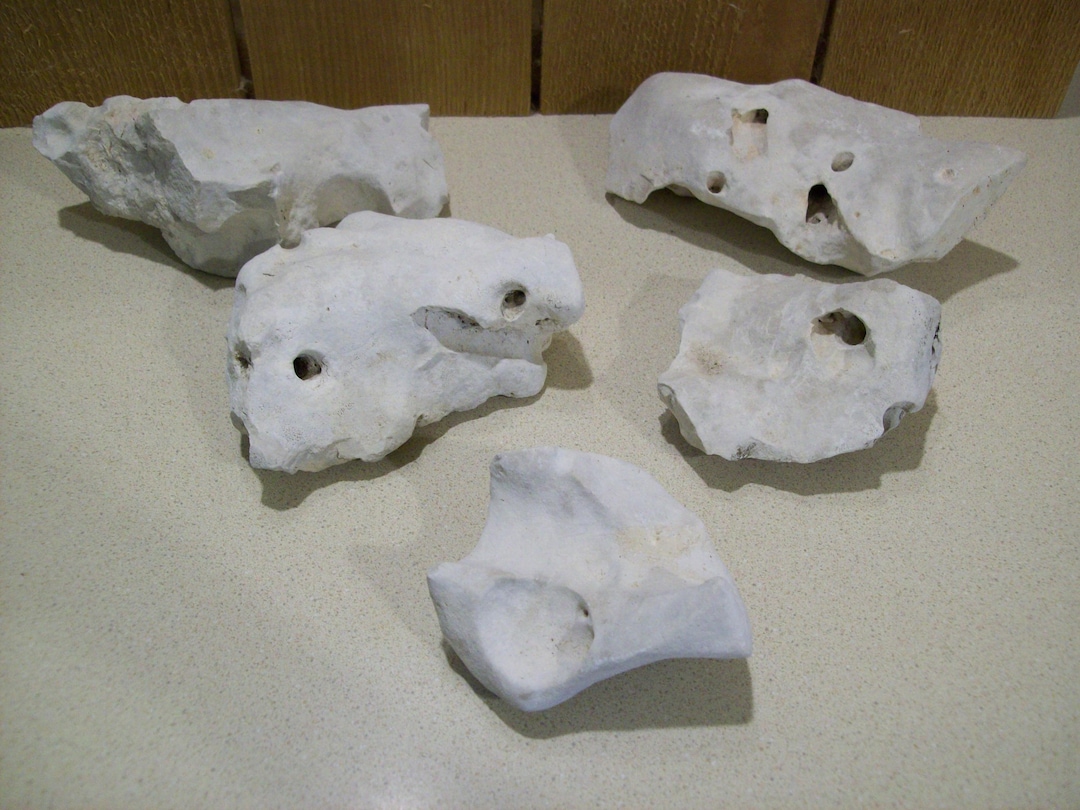 Texas Natural Limestone Holey Rocks Aquarium Terrarium Rock Long Garden ...