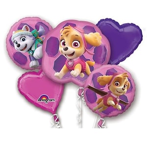 Paw Patrol Skye and Everest Party Balloons With Pink Number 1-9 Option