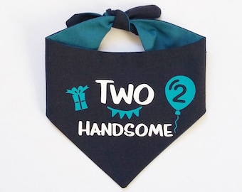 2nd Birthday Dog Cat Bandana Two Handsome 2 Today Blue Boy Dog Birthday