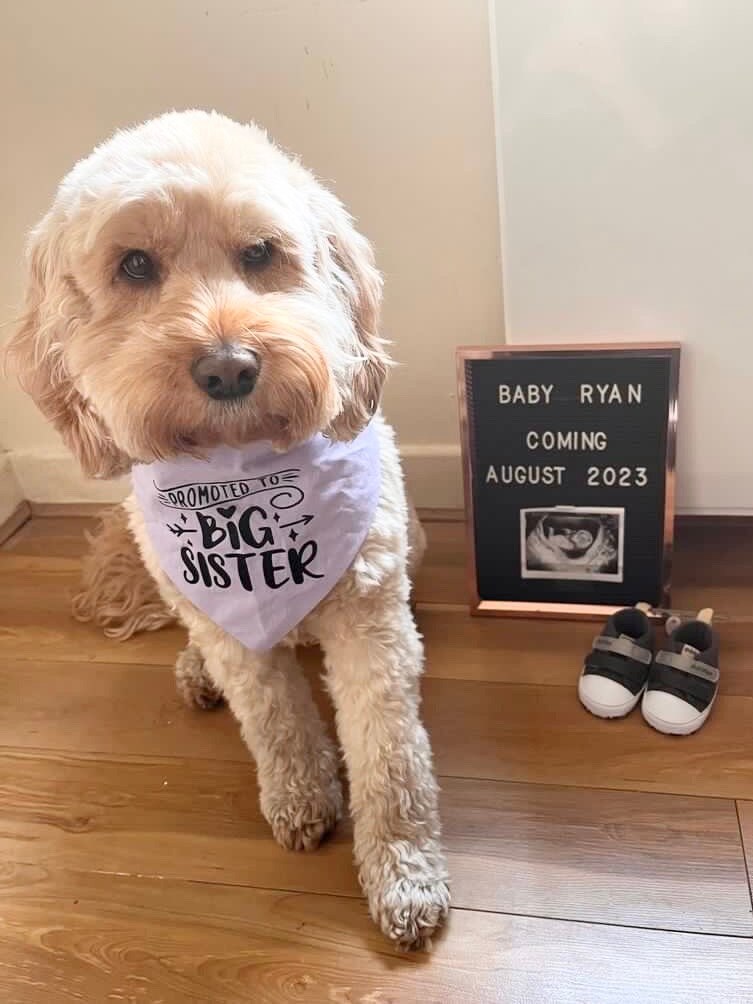 Promoted to big top sister dog shirt