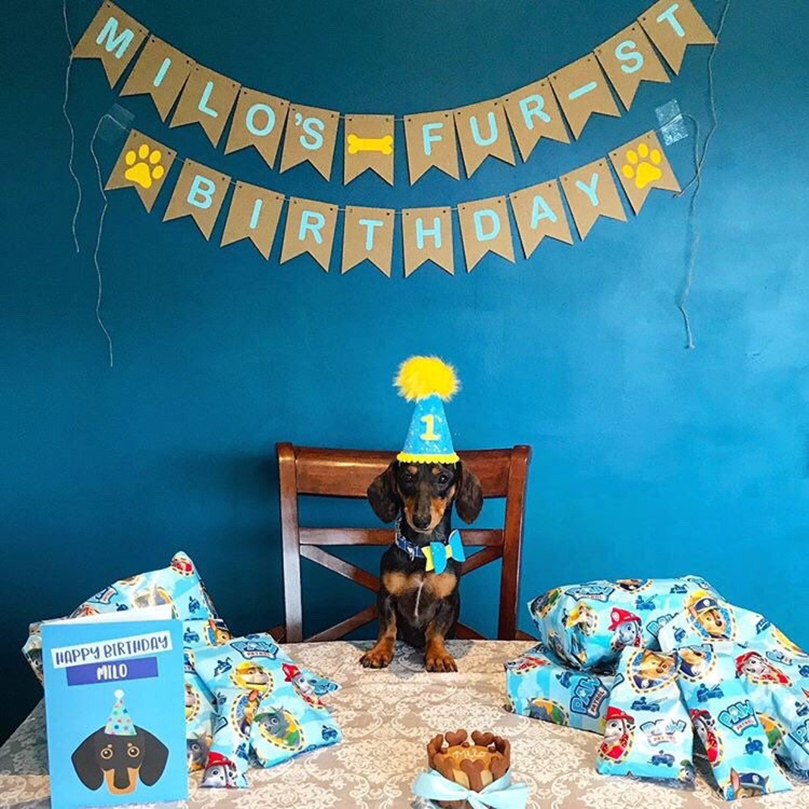 1st FIRST Dog Birthday Personalised Personalized Custom Etsy