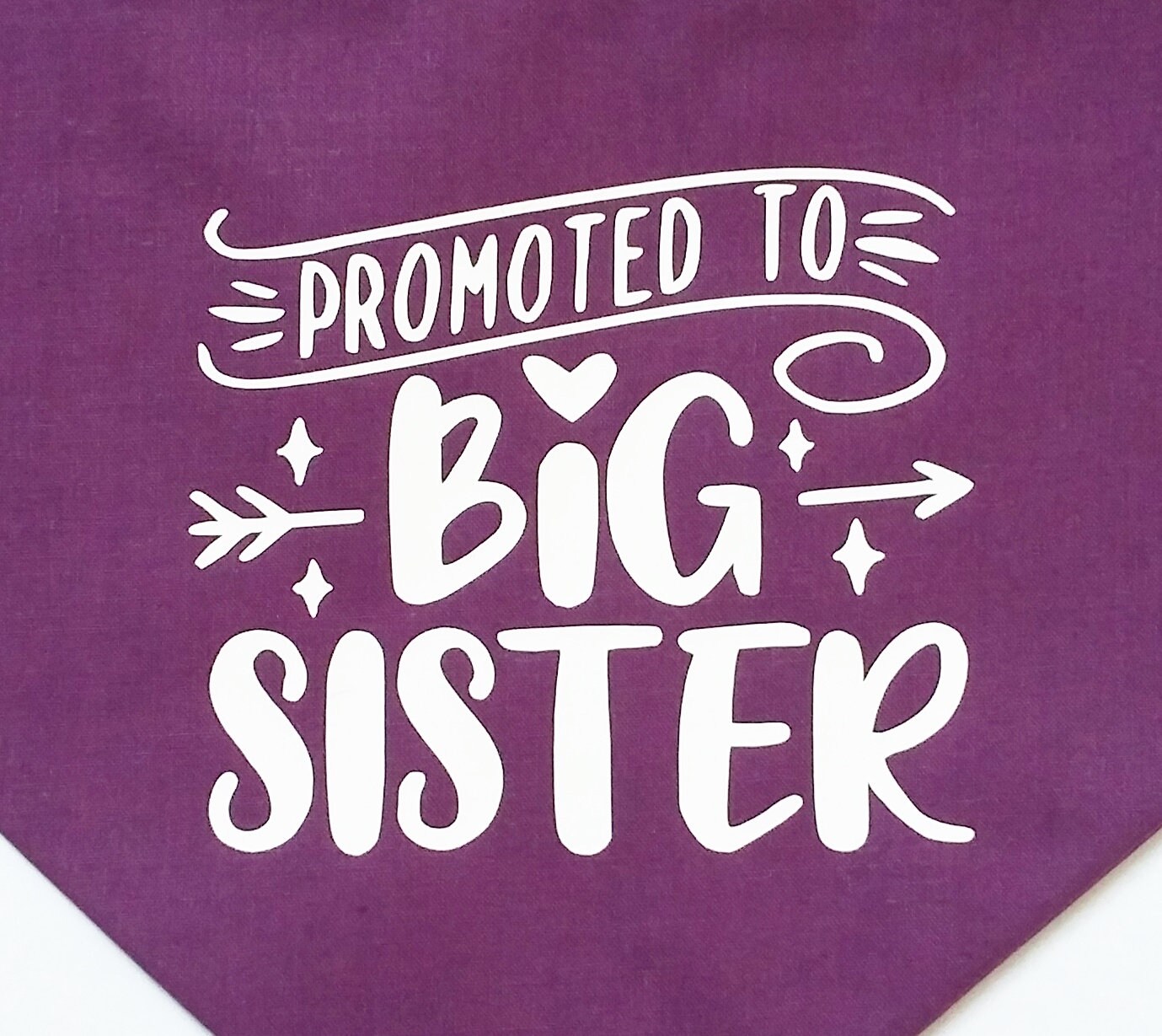  Promoted to Big Sister Alphabet Lore P for Sister Kids