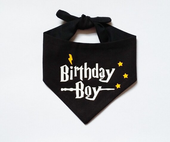 Birthday Boy Harry Potter Themed Dog Cat Birthday Party Bandana Etsy Ireland