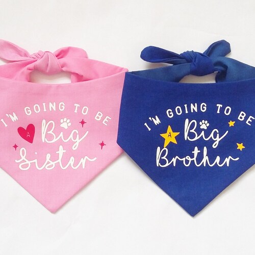 Big Sister Dog Bandana Etsy