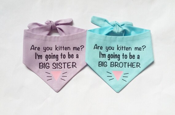 Big Sister Again Cute Pink Kitty Cat Sibling Gift T-Shirt Big Sister Again Cute Pink Kitty Cat Sibling Gift T-Shirt