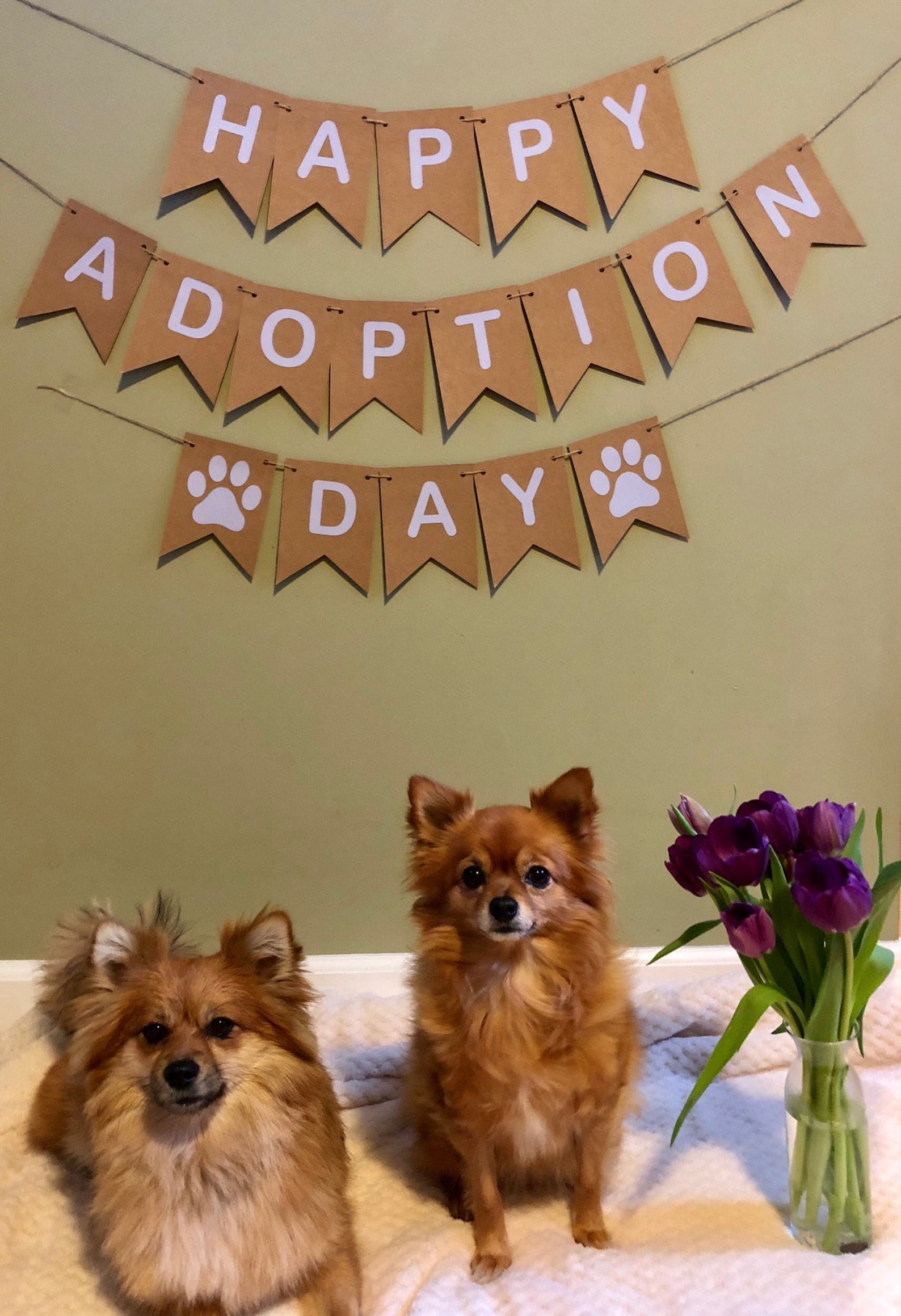 Happy Adoption Day Bunting Banner Sign Dog Cat Rescue Birthday Etsy