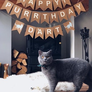 Cat Birthday Bunting Banner Sign Custom Personalised Personalized Cat Birthday Party Supplies Decorations Decor Cat Themed Party image 7