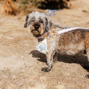 TOUS LES STYLES/COULEURS Sac pour alliances pour chien Porte-alliances personnalisé Sécurité image 9