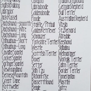 May include: A list of popular dog breeds written in black ink on a white background. The list includes breeds such as Pug, French Bulldog, English Bulldog, Labrador, Jack Russell, Dachshund, Chihuahua, Cavalier Spaniel, Cocker Spaniel, Springer Spaniel, Newfoundland, Bernese Mountain, Great Dane, Rottweiler, Doberman, Collie, Papillon, Cockapoo, Cavapoo, Labradoodle, Goldendoodle, Poodle, Staffie/Pitbull, Golden Retriever, Schnauzer, Yorkshire Terrier, Westie, Scottish Terrier, Boxer, Setter, Shih Tzu, Bichon Frise, Basset Hound, Beagle, Boston Terrier, Husky/Malamute, Pointer, Greyhound/Whippet, Italian Greyhound, German Shepherd, Bull Terrier, Australian Shepherd, Vizsla, St. Bernard, Airedale, Keeshond, Shibalnu, Weimaraner, Norfolk Terrier, Cairn Terrier, Border Terrier, Pomeranian, Mastiff, Spitz, Pekingnese, Samoyed, Rhodesian Ridgeback.
