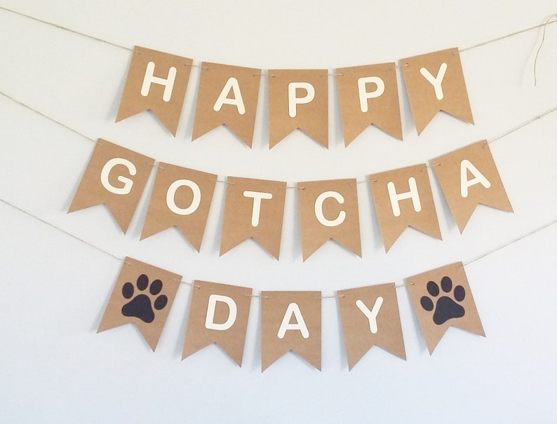 May include: Brown paper banner with white letters that reads "Happy Gotcha Day" with black paw prints on either side of the word "Day".