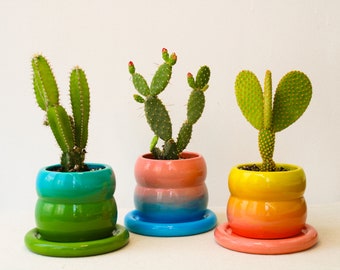 Handmade Ceramic Planter, Plant Pot with Drainage, Unique Indoor Pot, Cactus Succulent Planter with Saucer, Colorful Ombre Boho Planter