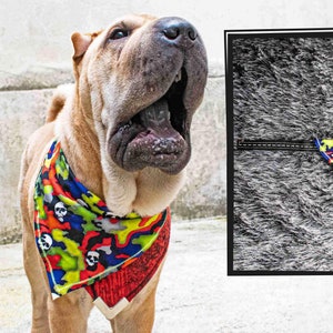 Coleira bandana para cachorro, roupas para filhotes de estimação, coleira de grife, bandana para cachorro de outono, cadela, cachorro menino, coisas para cachorro, cadela menina, estilo badass, moda de rua moderna imagem 1