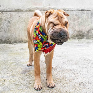 Pode incluir: Um c&atilde;o Shar-Pei marrom claro usando uma bandana colorida com um padr&atilde;o de caveira. O c&atilde;o est&aacute; em p&eacute; em uma superf&iacute;cie de concreto e olhando para baixo.