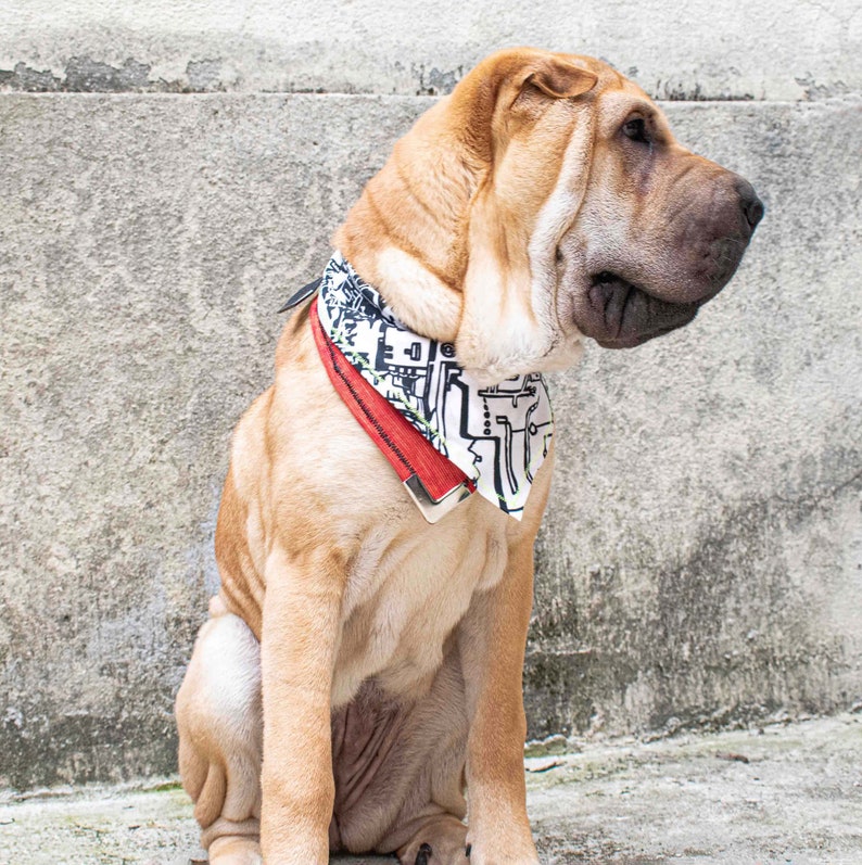 Pode incluir: Um c&atilde;o Shar-Pei de cor canela usando uma bandana branca com padr&otilde;es geom&eacute;tricos pretos e verdes e uma borda vermelha. O c&atilde;o est&aacute; sentado em frente a uma parede de concreto cinza.