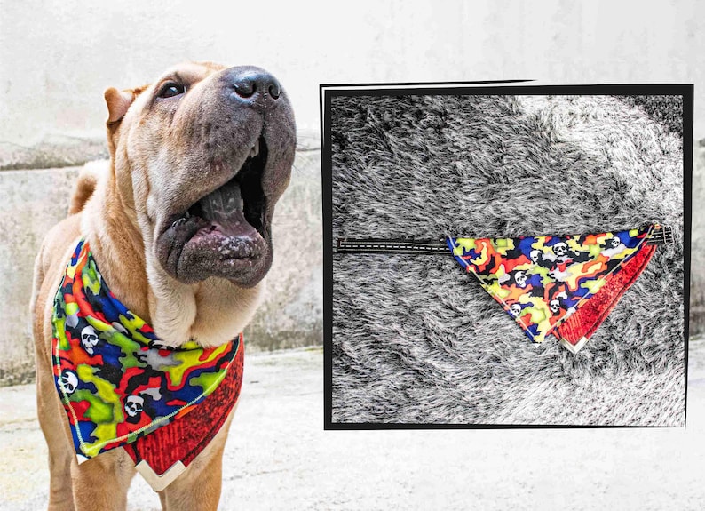 Coleira bandana para cachorro, roupas para filhotes de estimação, coleira de grife, bandana para cachorro de outono, cadela, cachorro menino, coisas para cachorro, cadela menina, estilo badass, moda de rua moderna imagem 1