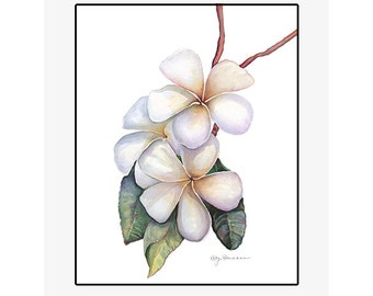 Plumeria giclee print of an original watercolor painting on 100% cotton rag, soft texture, natural white, 20” x 24” matted and backed