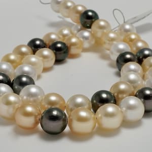 7mm 7 1/8'' Multi Color South Sea Pearl and Tahitian Pearl Strand, South Sea Pearl Strand, PS1409