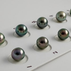 8mm Multi Color Near Round Tahitian Pearl, 1 pearl, Loose Tahitian Pearl, Tahitian Pearl for Settings, PT2759