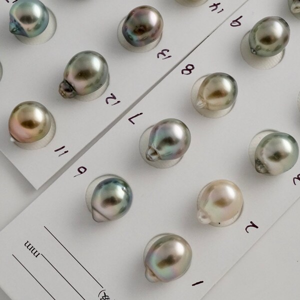 10mm Multi Color Semi-Baroque Tahitian Pearl, One Pearl, Loose Tahitian Pearl, PT2657