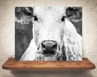 Cow Photograph - Fine Art Print - Black White Photo - Wall Art Decor - Rustic Decor - Pictures of Cows - Farmhouse Decor - Country