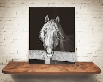 Horse Photograph - Fine Art Print - Black & White Photography - Equine Wall Art - Wall Decor -  Horse Pictures - Farmhouse Decor - Horses