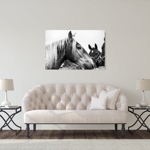 Horse Photograph Fine Art Print Black White Photography Equine Wall Art Wall Decor Pictures Horses Farmhouse Decor Modern image 5
