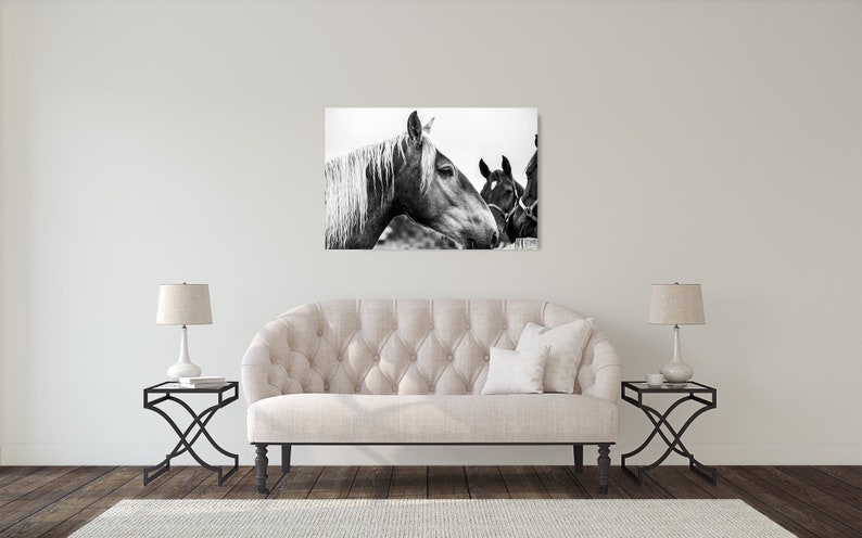 Horse Photograph Fine Art Print Black White Photography Equine Wall Art Wall Decor Pictures Horses Farmhouse Decor Modern image 5
