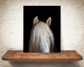 Horse Photograph - Fine Art Print - Color Photography - Equine Wall Art - Wall Decor - Pictures Horses - Farmhouse Decor - Rustic