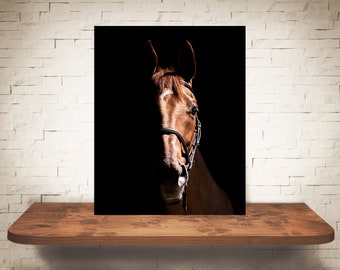 Horse Photograph - Fine Art Print - Color Photography - Equine Wall Art - Wall Decor -  Horse Pictures - Farmhouse Decor - Horses