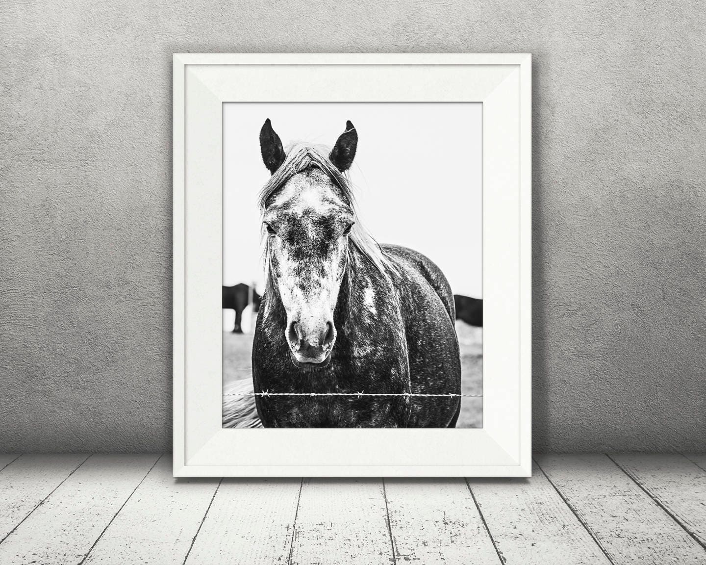 Horse Photograph - Fine Art Print - Black White Photography - Equine ...