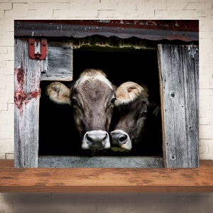 Brown Swiss Cow Photograph - Fine Art Print - Color  Photography - Wall Art Decor -  Farm Pictures - Farmhouse Decor - Cows - Country