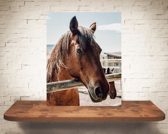 Fotografía de caballo - Impresión de bellas artes - Fotografía en color - Arte de pared equina - Decoración de pared - Imágenes de caballos - Decoración de granja - Caballos