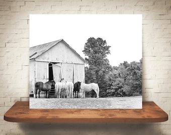 Horse Barn Photograph - Fine Art Print - Black & White Photo - Farmhouse Decor - Wall Art Decor - Equine Photography - Pictures of Horses