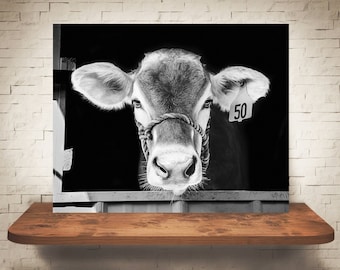 Brown Swiss Cow Photograph - Fine Art Print - Black White Photography - Wall Art Decor -  Farm Pictures - Farmhouse Decor - Cows - Country