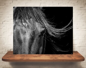 Horse Photograph - Fine Art Print - Black White Photography - Equine Wall Art - Wall Decor -  Horse Pictures - Farmhouse Decor - Horses