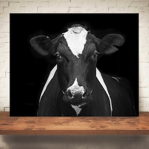 Cow Photograph - Fine Art Print - Black White Photography - Wall Art - Home Decor - Wall Decor -  Farm Pictures - Farmhouse Decor - Cows