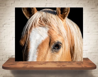 Horse Photograph - Fine Art Print - Color Photography - Equine Wall Art - Wall Decor -  Horse Pictures - Farmhouse Decor - Horses