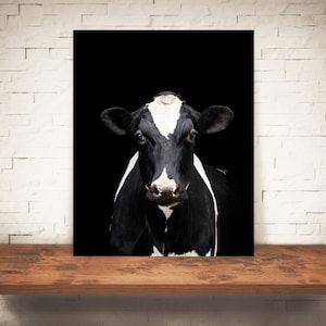 Cow Photograph - Fine Art Print - Color Photography - Wall Art - Home Decor - Wall Decor -  Farm Pictures - Farmhouse Decor - Cows